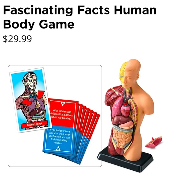 lakeshore Other - Human Body Game with 31 quiz cards.